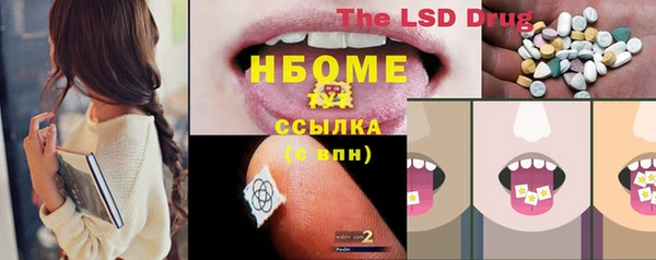 прущий лед Лагань