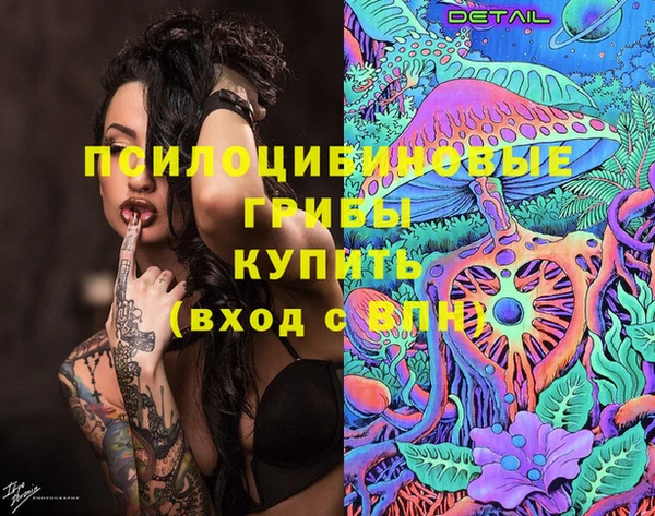 спайс Ладушкин