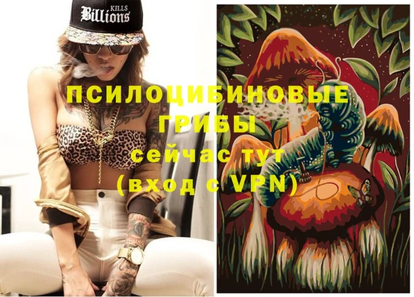 дживик Лабытнанги
