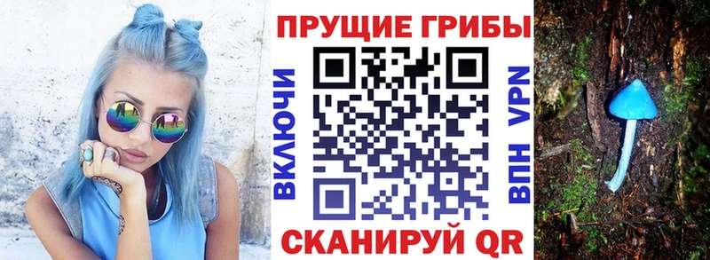 сколько стоит  Чишмы  Псилоцибиновые грибы MAGIC MUSHROOMS 